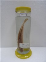 藏品(斑鱧)的圖片